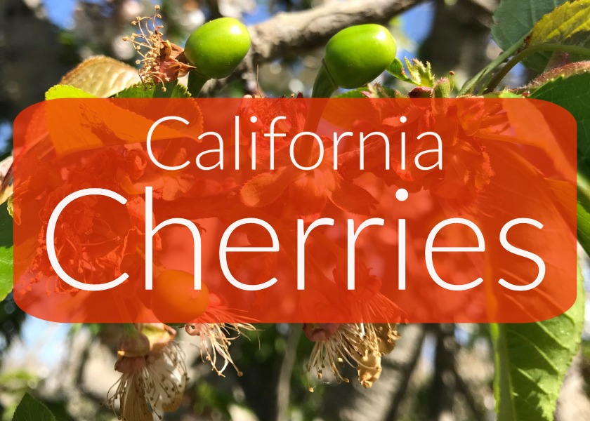 California cherry crop prospects bright The Packer